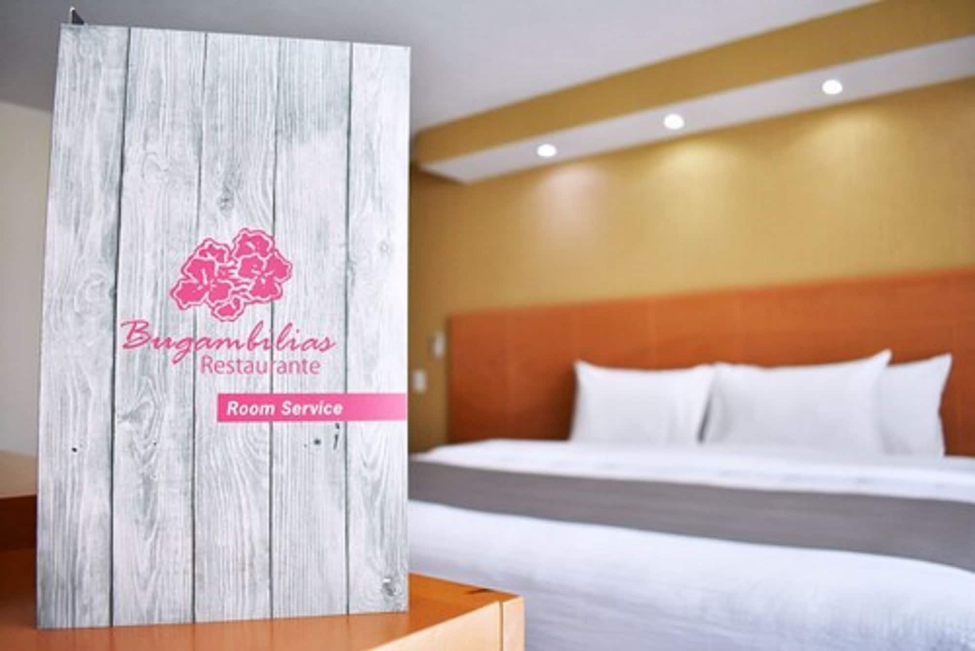 La Posada Hotel Y Suites San Luis Potosí Екстериор снимка