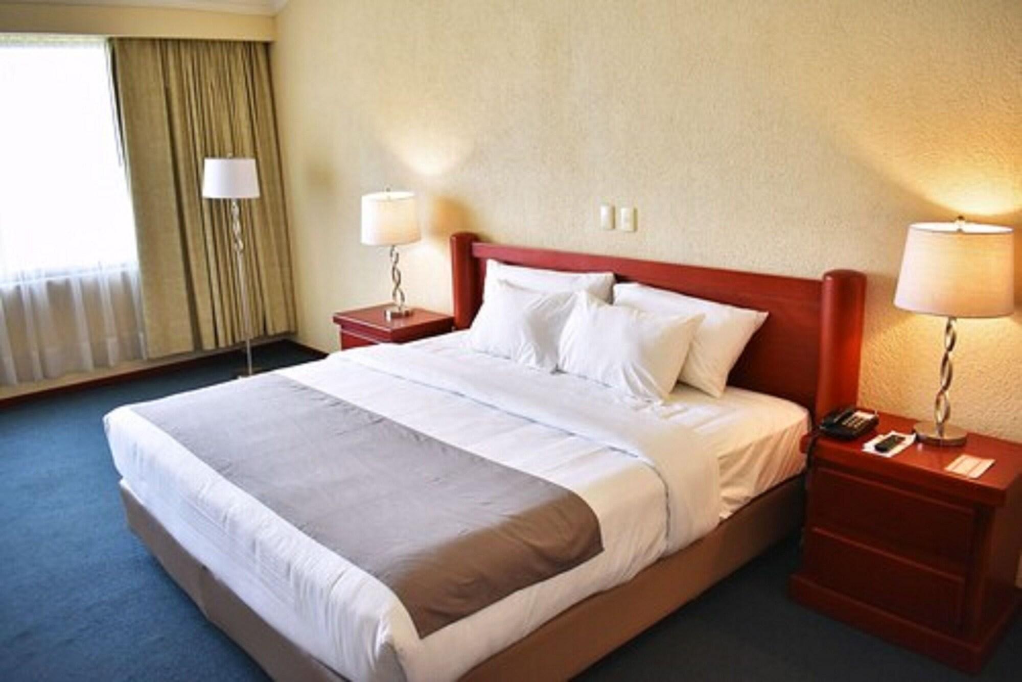 La Posada Hotel Y Suites San Luis Potosí Екстериор снимка