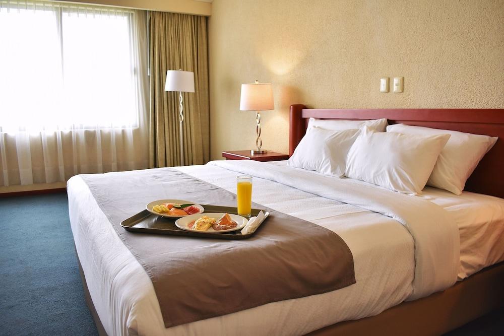 La Posada Hotel Y Suites San Luis Potosí Екстериор снимка